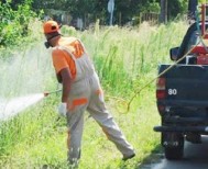 Πρόγραμμα καταπολέμησης κουνουπιών στο Δήμο  Βέροιας