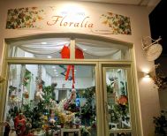 Η  Floralia «άνθισε» και ομόρφυνε  την οδό Μητροπόλεως στη Βέροια