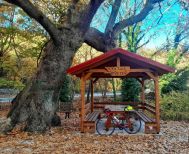 Σάββατο 8 Νοεμβρίου:  Στη Βέροια το 2ο brevet  της χρονιάς, 200 χλμ,  με εκκίνηση και τερματισμό  στην πλατεία Ωρολογίου