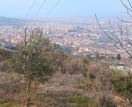 ΠΩΛΕΙΤΑΙ στα Καβάκια, στο δρόμο προς Ραχιά, αγροτεμάχιο 2,5 στρέμματα