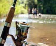 ΠΕ ΗΜΑΘΙΑΣ:  ΑΠΑΓΟΡΕΥΣΗ ΑΛΙΕΙΑΣ  ΣΤΑ ΕΣΩΤΕΡΙΚΑ ΥΔΑΤΑ ΤΗΣ  Π.Ε. ΗΜΑΘΙΑΣ ΓΙΑ ΤΟ ΕΤΟΣ 2026 