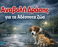Αναβολή δράσης ευαισθητοποίησης για τα αδέσποτα ζώα λόγω δυσμενών καιρικών συνθηκών
