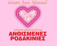 ΤΟΥΡΙΣΤΙΚΟΣ ΟΜΙΛΟΣ ΒΕΡΟΙΑΣ Φεστιβάλ  «Ανθισμένες Ροδακινιές της Βέροιας 2026»  «Where Love Blooms» ΤΟ ΠΡΟΓΡΑΜΜΑ ΤΩΝ ΕΚΔΗΛΩΣΕΩΝ