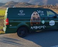 Το πρώτο ασθενοφόρο άγριων θηλαστικών στην Ελλάδα απέκτησε ο Αρκτούρος