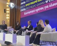 Δυναμικό παρών της Δ.Ε.Ε.Π. Ν. Ημαθίας στο Προσυνέδριο της Νέας Δημοκρατίας στα Ιωάννινα