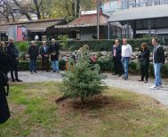 Συμβολική δενδροφύτευση στο Δημοτικό Πάρκο Νάουσας με αφορμή την Παγκόσμια Ημέρα Δωρεάς Οργάνων
