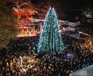Άναψε στην πλατεία Εληάς το Χριστουγεννιάτικο Δέντρο της Βέροιας, με Φιλαρμονική και Χάρη Βαρθακούρη
