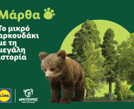 Η Lidl Ελλάς στήριξε την επιτυχή επανένταξη της Μάρθας στη φύση, σε συνεργασία με τον ΑΡΚΤΟΥΡΟ