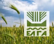 Συγκροτείται από το υπουργείο Οικονομικών, ομάδα ελέγχου για τις αποζημιώσεις του ΕΛΓΑ