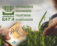ΕΛΓΑ: Δεν απαιτείται η καταβολή των τελών εκτίμησης από τους πληγέντες παραγωγούς