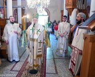 Η εορτή των Οσίων Διονυσίου και Μητροφάνους στη Φυτειά Ημαθίας