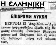 Από το 1932 έγραφαν οι εφημερίδες για κάθοδο λύκων «έξωθι της Βέροιας»