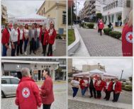 Δράσεις του Περιφερειακού Τμήματος Ε.Ε.Σ. Βέροιας