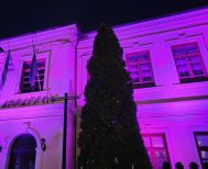 Συμμετοχή  του  Δήμου  Βέροιας στη δράση φωταγώγησης για το Σύνδρομο  Rett