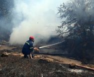 Φωτιά σε δασική έκταση στη Μικρά Σάντα Ημαθίας – Σηκώθηκαν εναέρια μέσα