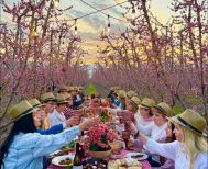 Στη γαστρονομική δράση της Π.Ε. Ημαθίας, στις  ανθισμένες ροδακινιές, συμμετείχε ο Δήμος Νάουσας