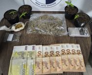 Από την Ομάδα Δίωξης Ναρκωτικών Ημαθία: Συνελήφθη ένα άτομο  για καλλιέργεια, κατοχή  και διακίνηση κάνναβης