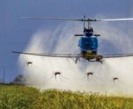 Ξεκινά το πρόγραμμα εναέριων ψεκασμών για την καταπολέμηση των κουνουπιών στους ορυζώνες της Θεσσαλονίκης, της Πιερίας και της Ημαθίας από την Περιφέρεια Κεντρικής Μακεδονίας