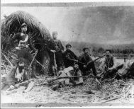 Επιστολή προς τον Δήμο Αλεξάνδρειας - Πρόταση για την ανάδειξη του Μακεδονικού Αγώνα με ανάπλαση των καλαμιώνων  και πιστά αντίγραφα από τις ιστορικές  καλύβες και πλάβες του βάλτου