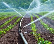 Κατά 40% περιορίζει η ΔΕΗ το νερό άρδευσης στον διψασμένο κάμπο, λόγω μειωμένων αποθεμάτων στους ταμιευτήρες του Αλιάκμονα