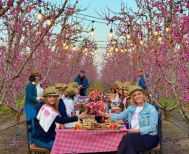 Ευχαριστήριο της ΠΕ Ημαθίας προς όλους όσοι συμμετείχαν  στην υλοποίηση της δράσης δημιουργίας προωθητικού οπτικοακουστικού υλικού για την τουριστική προβολή της περιοχής μας