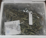 Nέο κεφάλαιο στην παραγωγή πολλαπλασιαστικού υλικού οπωροφόρων δένδρων στην Ελλάδα από τον ΕΛΓΟ-ΔΗΜΗΤΡΑ