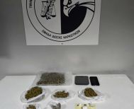 Συλλήψεις για κατοχή ναρκωτικών από την Ομάδα Δίωξης Βέροιας -Κατασχέθηκαν ποσότητες κοκαΐνης και ακατέργαστης κάνναβης