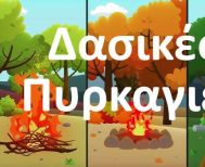 Δήμος Αλεξάνδρειας: Οδηγίες προστασίας της Δημόσιας Υγείας σε περίπτωση πυρκαγιάς 