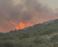 Πάνω από 454.000 στρέμματα κάηκαν στην χώρα μας, από την αρχή της χρονιάς