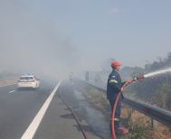 Εγνατία οδός: Πυρκαγιά σε χαμηλή βλάστηση στο ύψος της Αλεξάνδρειας