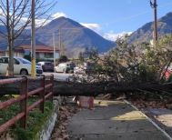 Θυελλώδεις άνεμοι «γκρέμισαν» δέντρα στη Νάουσα