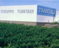 Τίτλοι τέλους για την «Τσάνταλης» - Η ιστορική οινοποιία σε πτώχευση μετά από 136 χρόνια