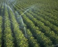 Δήμος Αλεξάνδρειας: Ξεκίνησαν οι αιτήσεις  για πρόσληψη υδρονομέων για την αρδευτική περίοδο του 2026