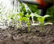 Ενημερωτική συνάντηση για τη λειτουργία και τη διαχείριση του αρδευτικού συστήματος για το έτος 2026 διοργανώνεται την Δευτέρα 30 Μαρτίου στο Δημαρχείο Μελίκης