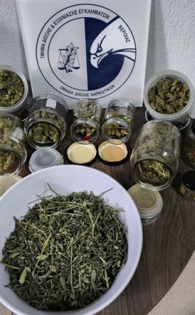 Στοχευμένες δράσεις στην Κεντρική Μακεδονία για την καταπολέμηση της διάδοσης των ναρκωτικών -Συνελήφθησαν συνολικά 5 άτομα και κατασχέθηκαν πάνω από 2 κιλά ακατέργαστης κάνναβης