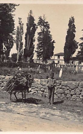 ΜεΜιαΜατια Μία εικόνα που αποτυπώνει πολύ ζωντανά την ατμόσφαιρα της Βέροιας το 1917