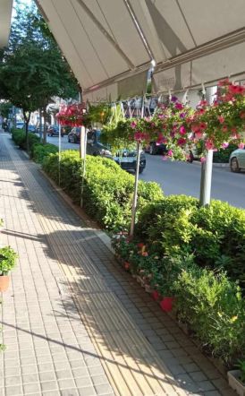 Η μικρή πράσινη όαση της Βενιζέλου παράδειγμα για όλη τη Βέροια