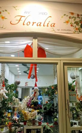 Η  Floralia «άνθισε» και ομόρφυνε  την οδό Μητροπόλεως στη Βέροια