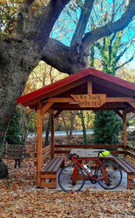 Σάββατο 8 Νοεμβρίου:  Στη Βέροια το 2ο brevet  της χρονιάς, 200 χλμ,  με εκκίνηση και τερματισμό  στην πλατεία Ωρολογίου