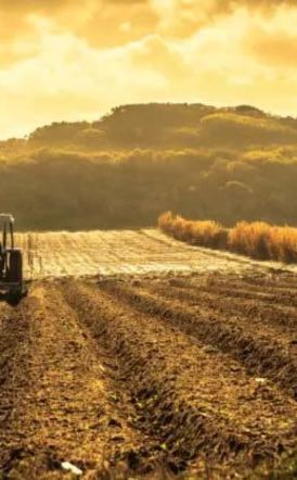 Εγκαταλείφθηκε το 48,5% της αγροτικής γης στη Νάουσα: Κραυγή αγωνίας από τους παραγωγούς