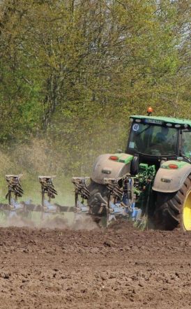 Ενισχύσεις de minimis ύψους 2,1 εκατ. ευρώ σε παραγωγούς μηδικής στον Έβρο και βιομηχανικής τομάτας στην Ημαθία