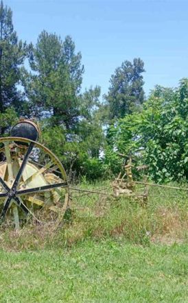 Ομόφωνη απόφαση του Δημοτικού Συμβουλίου Αλεξάνδρειας  για την παραμονή του ιστορικού αλετριού στην πόλη