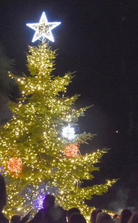 Εντυπωσιακή Χριστουγεννιάτικη Ατμόσφαιρα στη Φωταγώγηση  του Χριστουγεννιάτικου Δέντρου, στην Πλατεία Καρατάσου Νάουσας