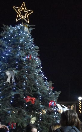 Δήμος Νάουσας: Φωταγωγήθηκαν τα Χριστουγεννιάτικα Δέντρα  των Τοπικών Κοινοτήτων 