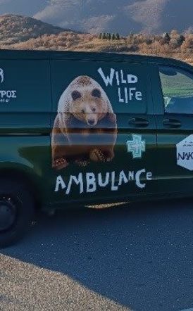 Το πρώτο ασθενοφόρο άγριων θηλαστικών στην Ελλάδα απέκτησε ο Αρκτούρος