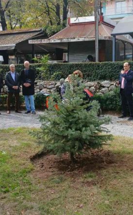 Συμβολική δενδροφύτευση στο Δημοτικό Πάρκο Νάουσας με αφορμή την Παγκόσμια Ημέρα Δωρεάς Οργάνων