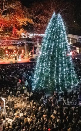 Άναψε στην πλατεία Εληάς το Χριστουγεννιάτικο Δέντρο της Βέροιας, με Φιλαρμονική και Χάρη Βαρθακούρη