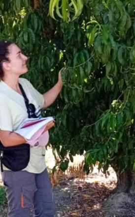 Επίσκεψη της Αντιδημάρχου Αγροτικής Ανάπτυξης Άννας Βασιλειάδου στην Ειρηνούπολη     Εκτιμήσεις ζημιών από παγετό σε συνεργασία με γεωπόνους του ΕΛΓΑ