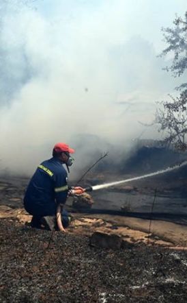 Φωτιά σε δασική έκταση στη Μικρά Σάντα Ημαθίας – Σηκώθηκαν εναέρια μέσα