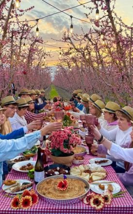 Στη γαστρονομική δράση της Π.Ε. Ημαθίας, στις  ανθισμένες ροδακινιές, συμμετείχε ο Δήμος Νάουσας
